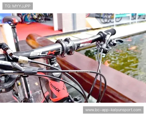 中高端自行车价格腰斩降幅显著 市场竞争激烈推动消费升级 中高端自行车价格腰斩降幅显著 市场竞争激烈推动消费升级