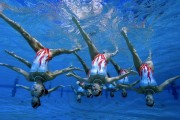 2026年世界花样滑冰锦标赛女单自由滑：两套4周跳节目震撼全场，花样滑冰大奖赛女单自由滑