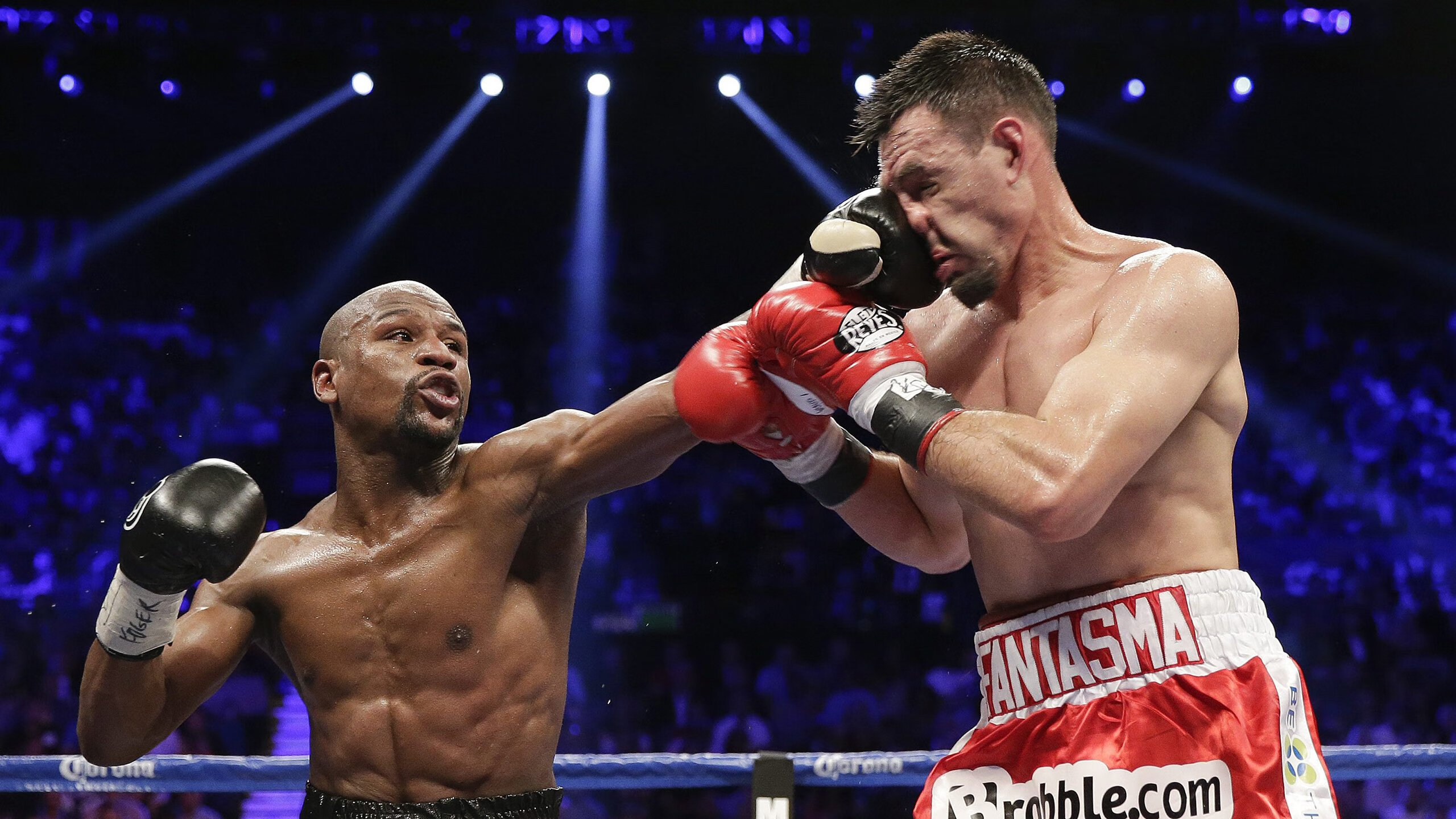 WTT巡回赛中国站揽获头等奖，让球迷对乒乓球的热爱继续升温，wtt乒乓球赛2021最新消息